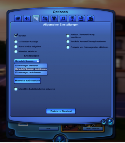 Sims3_Optionen.png