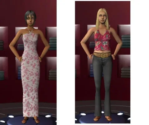 sims2.webp