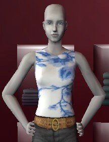 shirt.jpg