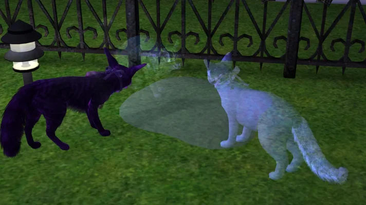 Simsbilder2-00;01;31;24.webp