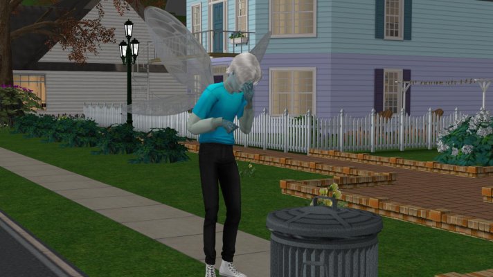 Simsbilder2-00;00;41;27.jpg