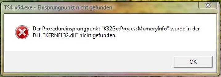 Sims4_Error.jpg