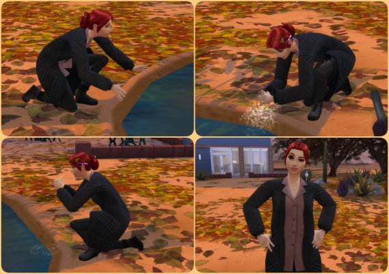 Asina 27.jpg