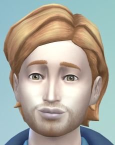 2. Sebastian von Blutstein.JPG 2. Sebastian von Blutstein.JPG