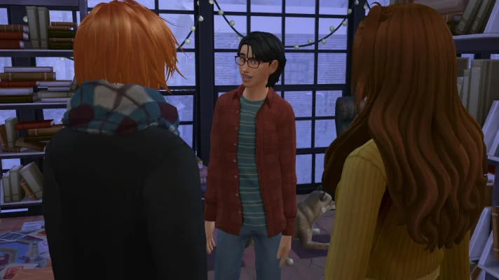 28.png