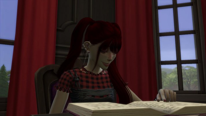 Simsbilder2-00;04;08;35.jpg
