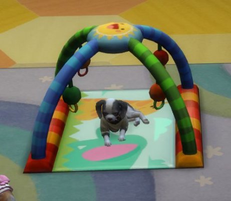 Spielmatte für Säuglinge auch für Hunde nutzbar.JPG
