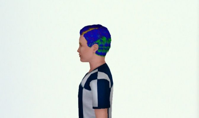 Meise unterm Pony_4.jpg