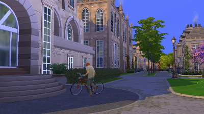 24.jpg