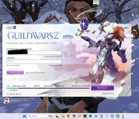Guild Wars 2.jpg