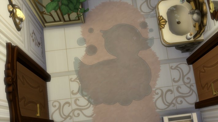 Ducky.jpg