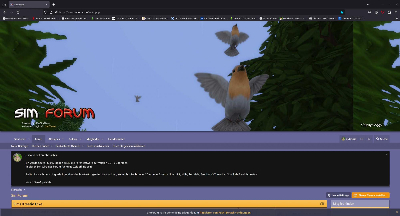 SimForum – Mozilla Firefox 17.03.2024 11_43_30.jpg