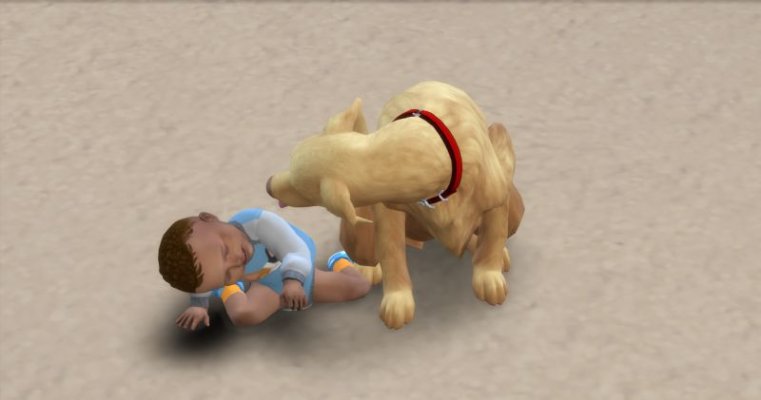 Rupert und Goofy 3.jpg