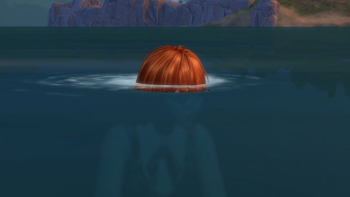 L1.jpg