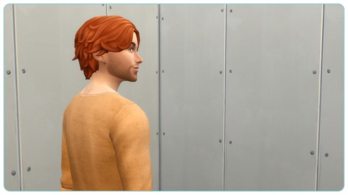 25.jpg