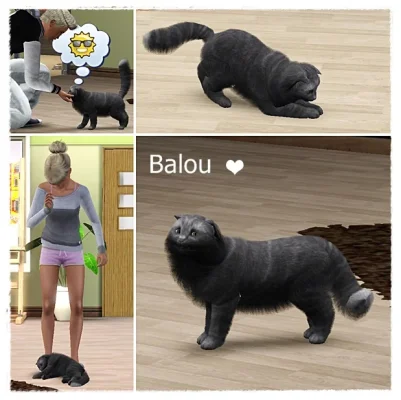 balou.webp