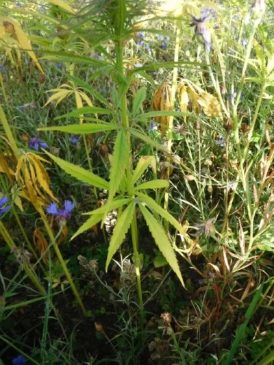 2013_09_01_02.webp