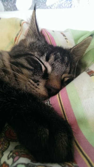 IMAG0069.jpg