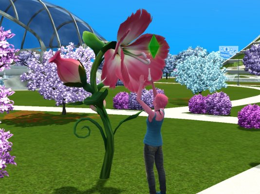 Screenshot-16.jpg