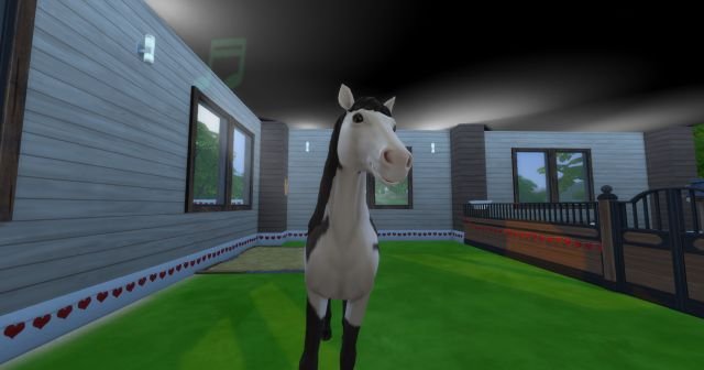 1.2. Palomino.jpg