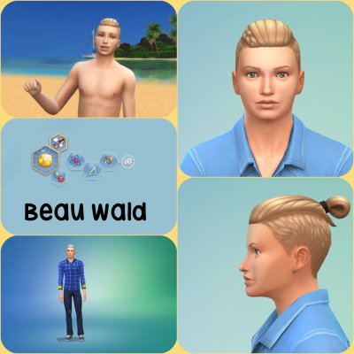 BeauWald1.jpg