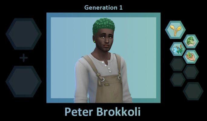 PlumbobÜbersichtPeter.jpg