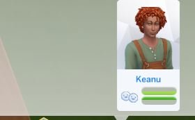 Ist das ein Bug2.JPG