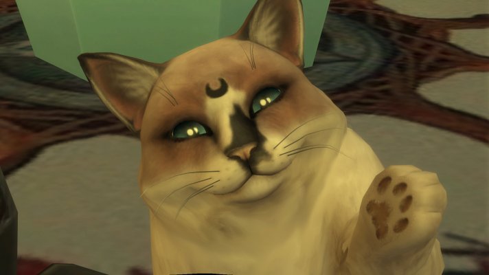 Glyph2.jpg