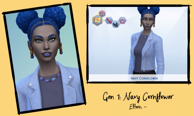 NavyCornflower.jpg