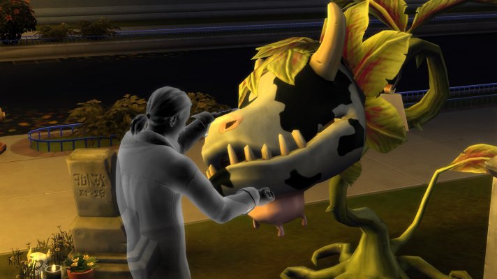 Grausiges-Ritual.jpg