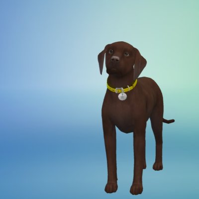 Brownie .jpg