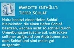 26.JPG