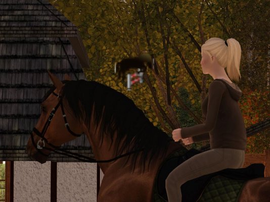 Screenshot-229.jpg