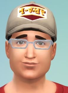 Maxis Sims.JPG