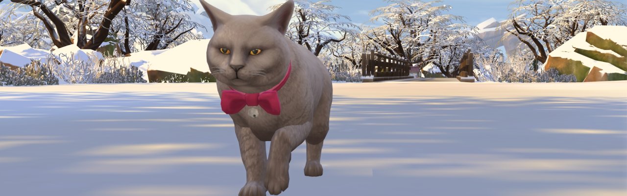 Winter_1.jpg