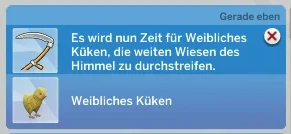 Kükentod.webp