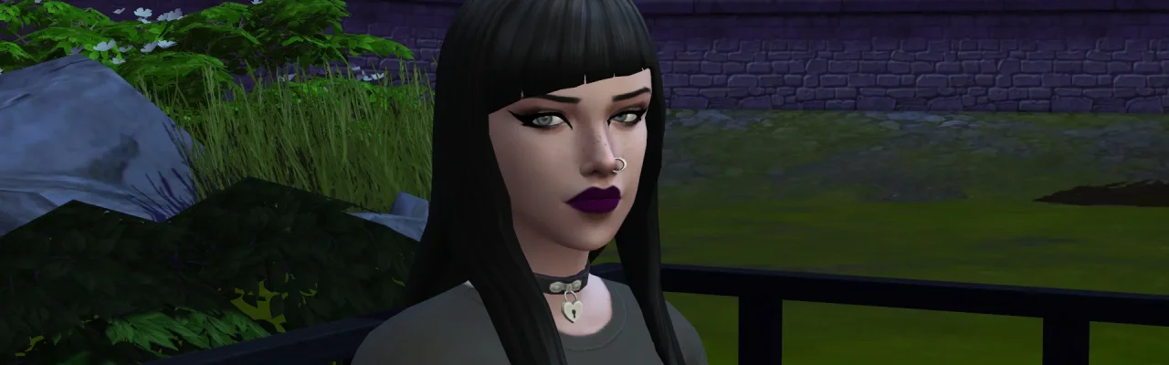 AmyvilleHeader254.jpg