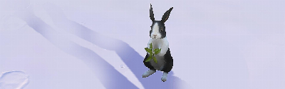 hasi.jpg