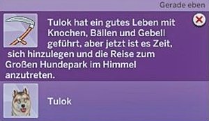 38.JPG