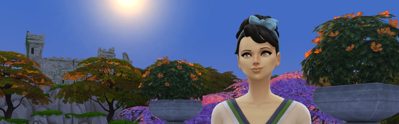 AmyvilleHeader265.jpg
