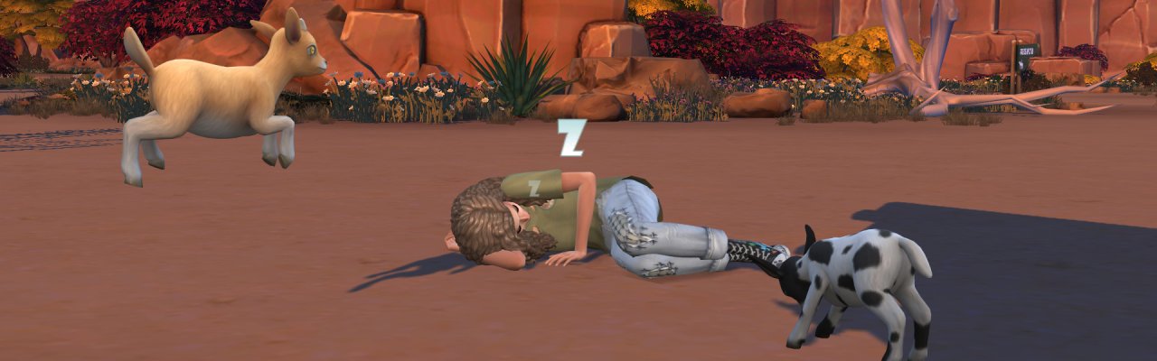 AmyvilleHeader274.jpg
