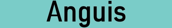 Anguis Logo.jpg