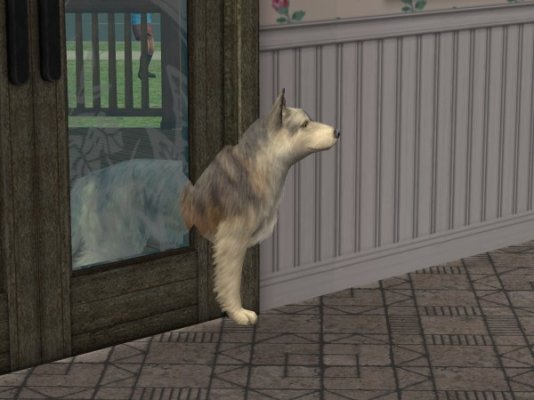 snapshot_02d4e527_44f6d9cb.jpg