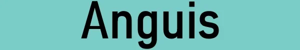 Anguis Logo.webp