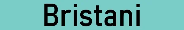 Bristani Logo.webp
