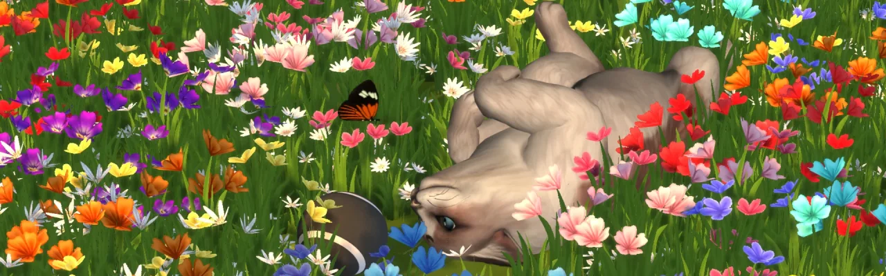 Spring2.jpg