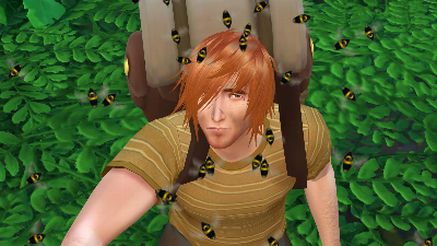 31.jpg