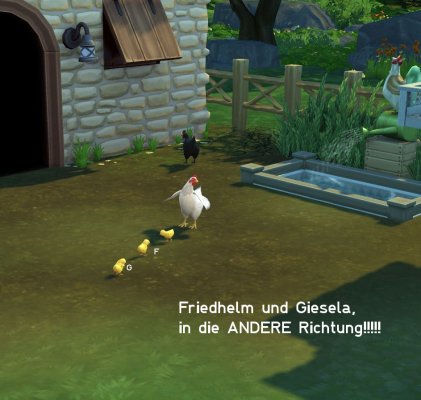 falsche Richtung.jpg