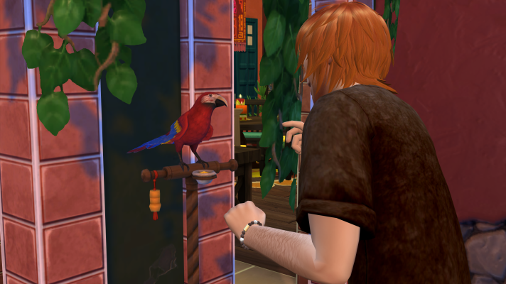 17.png