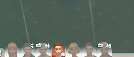 sims.webp